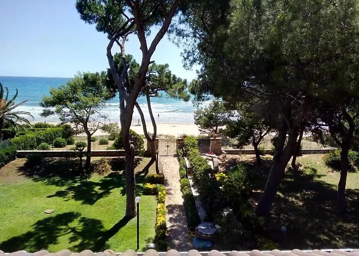 Luisa ספרלונגה